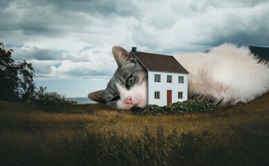 В Виннице на одну квартиру 19 покупателей, а в Киеве всего два: анализ спроса на жилье в регионах