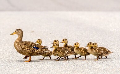 Дитсадки переходять на 8-годинний графік роботи з новими укриттями