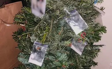 В Киеве наркоделец украсил новогоднюю елку пакетиками с кокаином