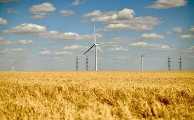 В Полтавской области планируют построить ветровую электростанцию за 1,2 млрд евро