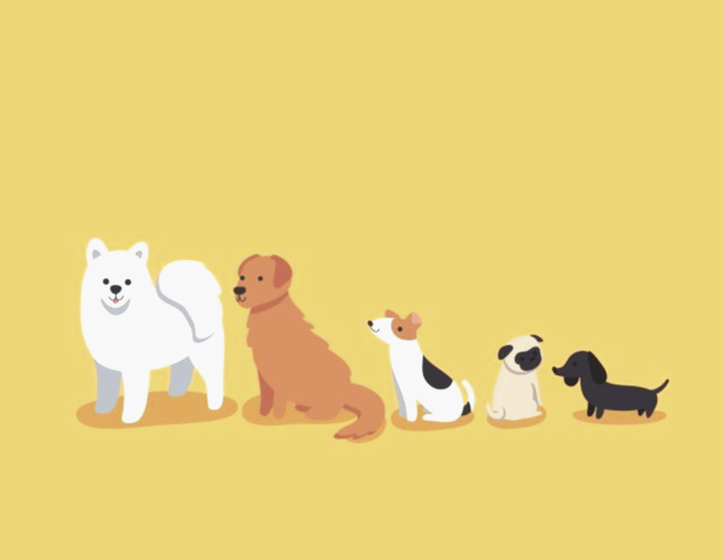 Укрпочта вводит оплату картой и онлайн-управление посылками - фото