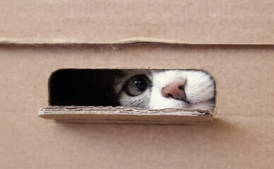 Новая почта снизила тарифы на наложенный платеж