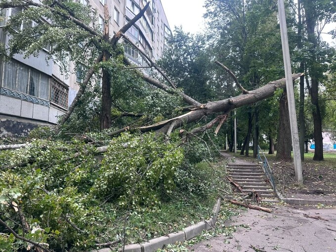 У Харкові через нічну негоду впало понад 160 дерев і 300 гілок