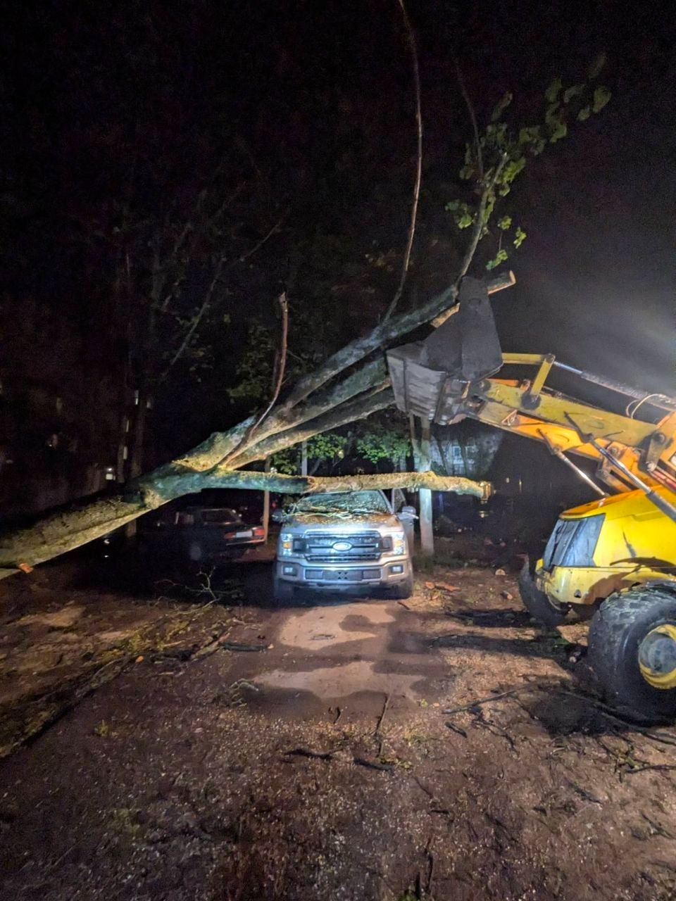 В Харькове сильный ветер повалил более 80 деревьев фото