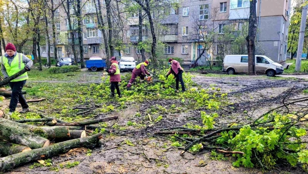 В Харькове сильный ветер повалил более 80 деревьев фото
