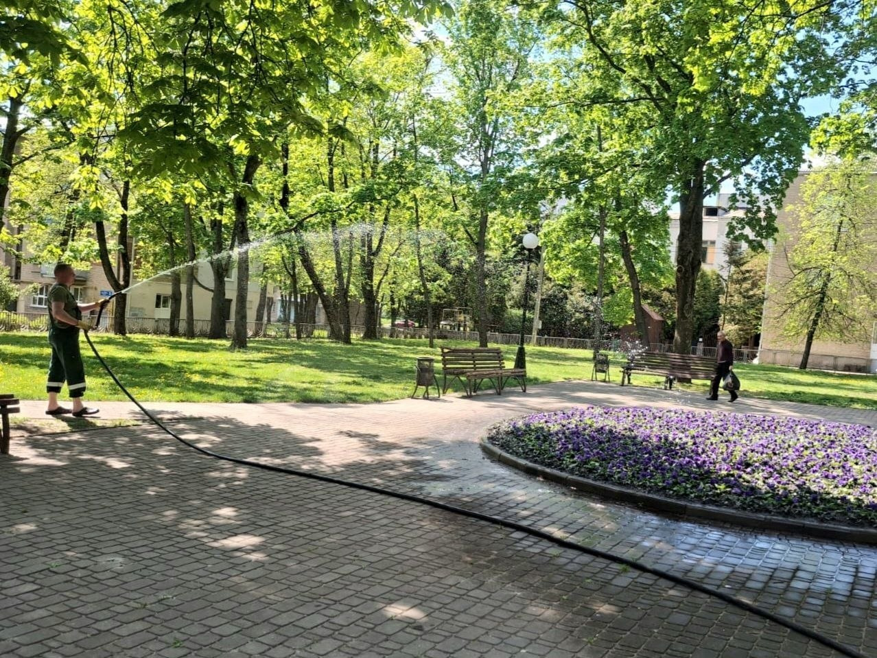 В сквере Кандаурова в Харькове обустраивают цветник из 12 тысяч саженцев - фото