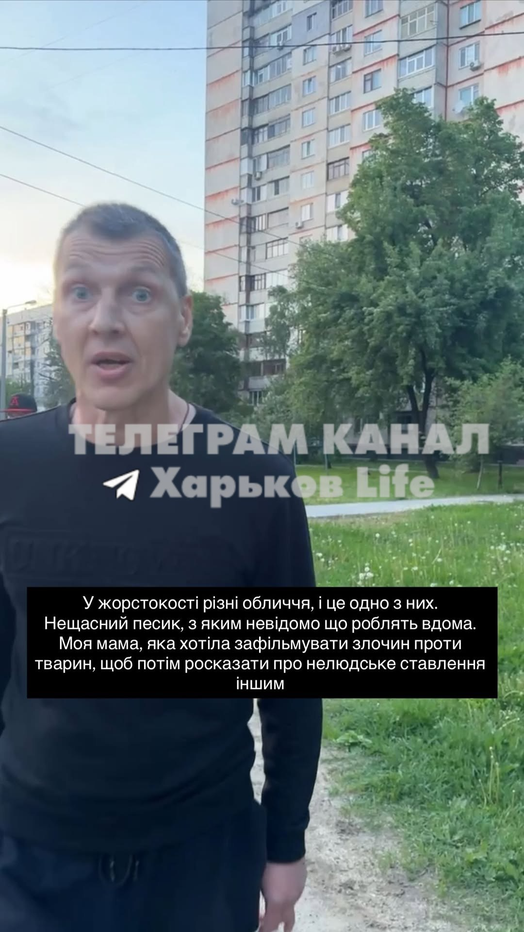 В Харькове мужчина бил спаниеля ногами и травмировал женщину - фото