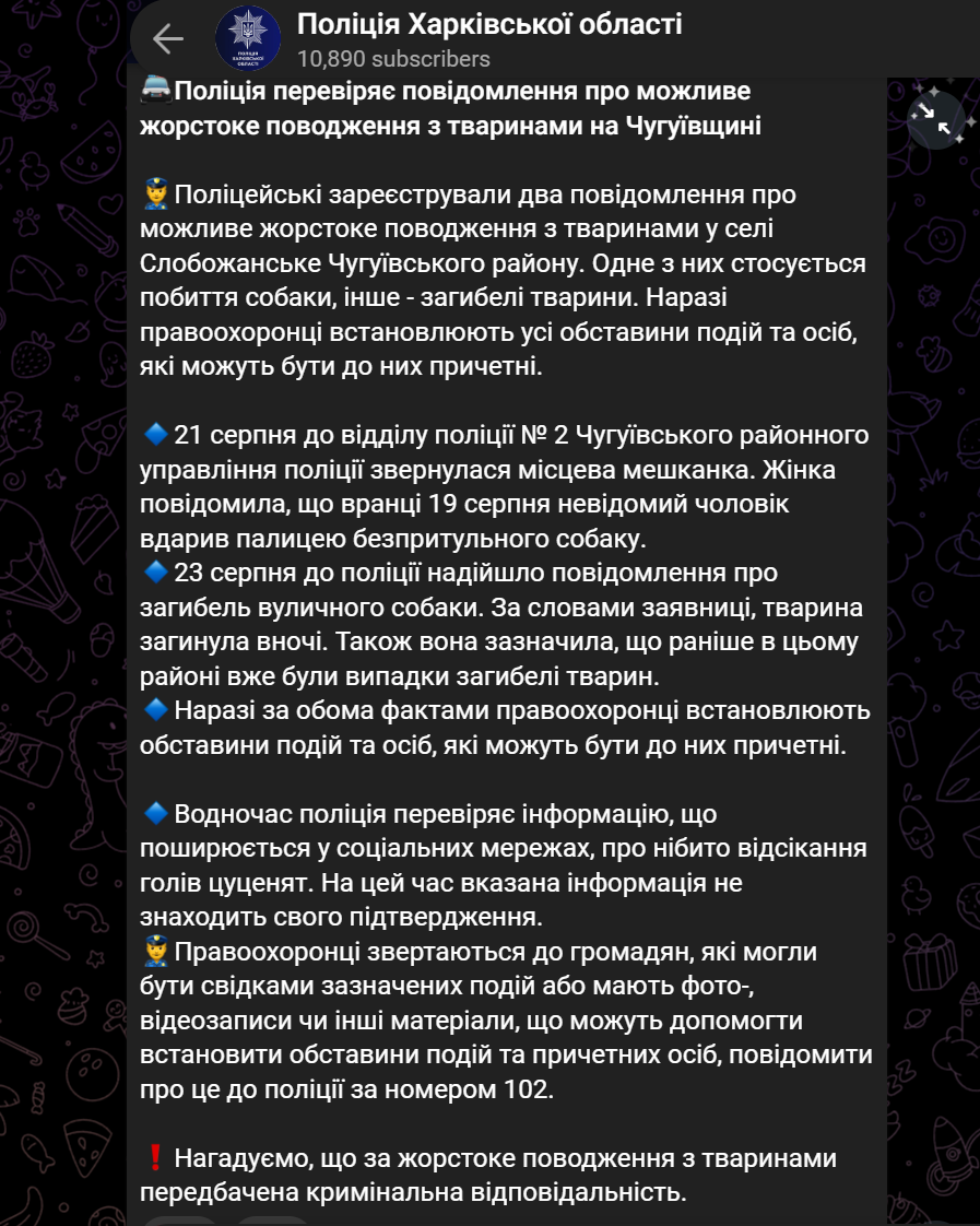 На Харківщині чоловік відрізає голови цуценятам, &ndash; зоозахисники фото